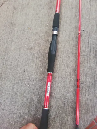 Pesca cefalopodos 