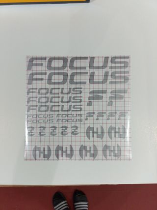 Pegatinas Focus para Bicis