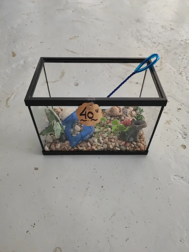 Pecera o terrario de cristal 20 cm alto por 30 cm