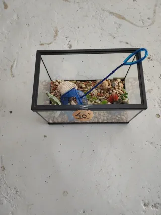 Pecera o terrario de cristal 20 cm alto por 30 cm