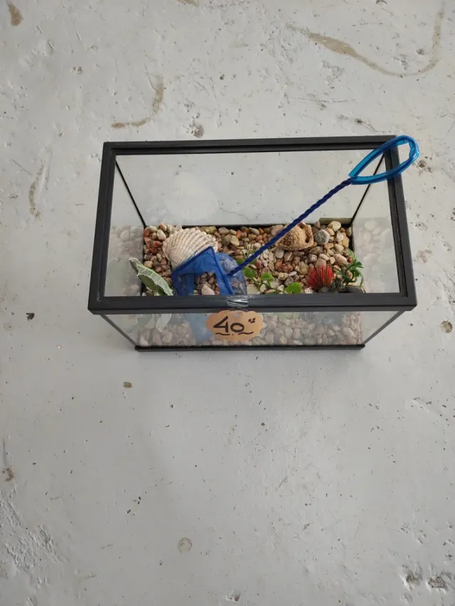 Pecera o terrario de cristal 20 cm alto por 30 cm