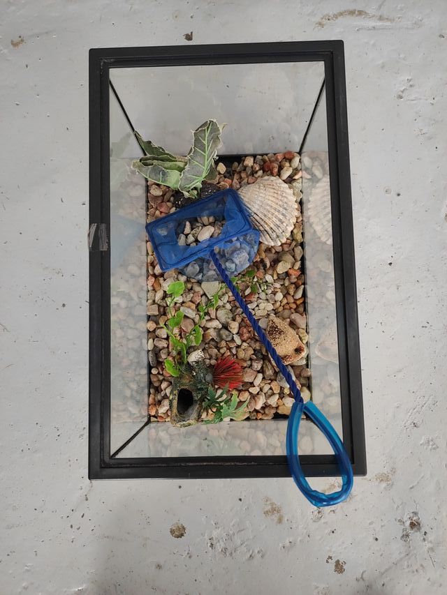 Pecera o terrario de cristal 20 cm alto por 30 cm