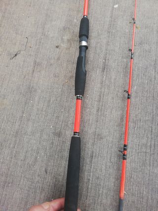 PESCA CEFALOPODOS 