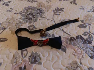 Cosplay Honkai Star Rail Completo 