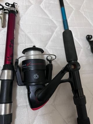 Cañas de pescar y accesorios