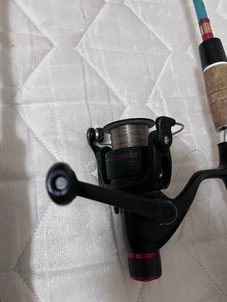 Cañas de pescar y accesorios