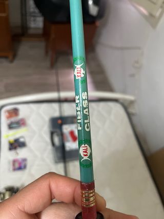 Cañas de pescar y accesorios
