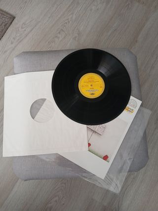 Vinilo Mozart: Conciertos para Clarinete y Fagot