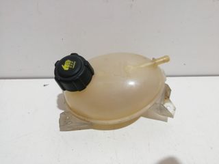 DEPOSITO EXPANSION RENAULT CLIO IV (3)