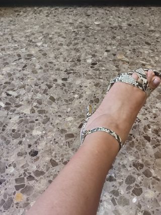 Zapatos piel serpiente beige y marrón