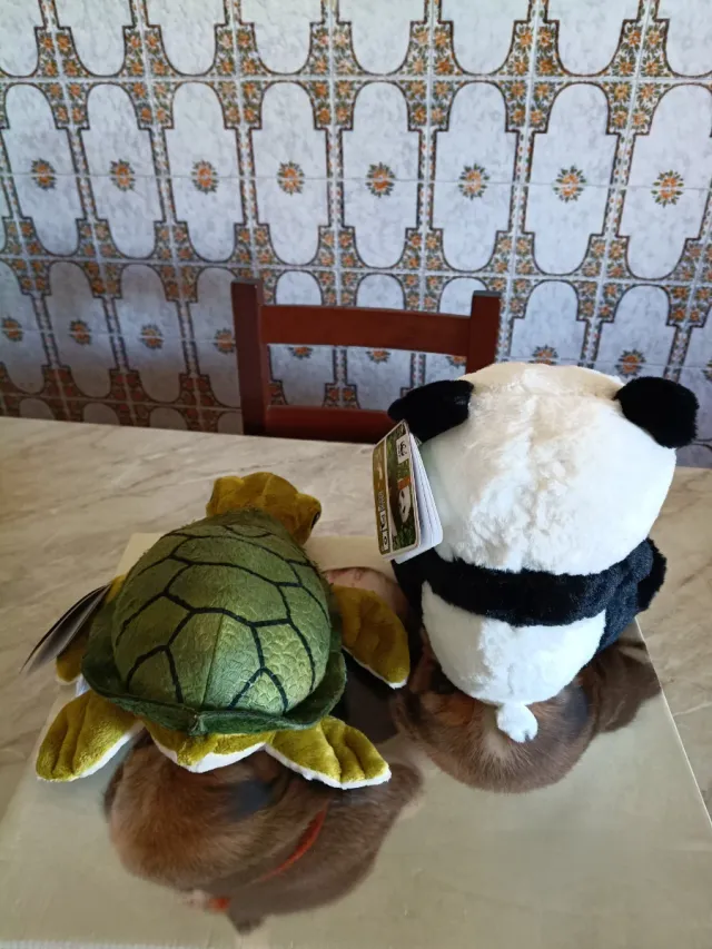 Peluche Tartaruga e Panda