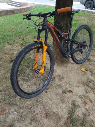 Specialized Doble Carbono 29