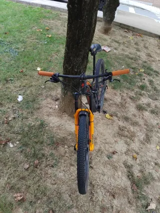 Specialized Doble Carbono 29