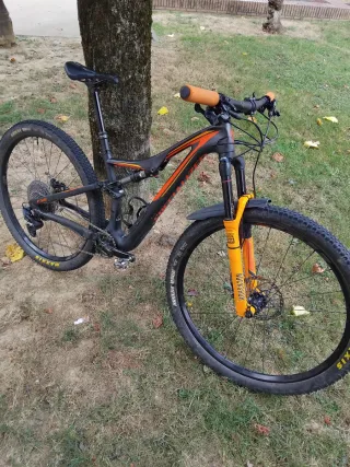 Specialized Doble Carbono 29