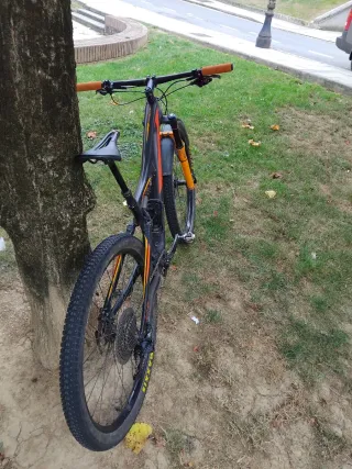 Specialized Doble Carbono 29