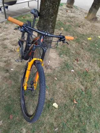 Specialized Doble Carbono 29