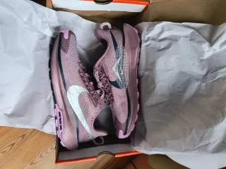 Zapatillas Nike Pegasus Trail 4 (39)