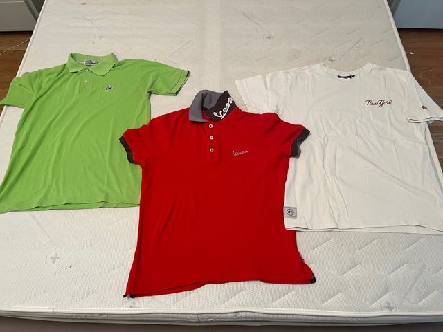 polo lacostevespanew era 