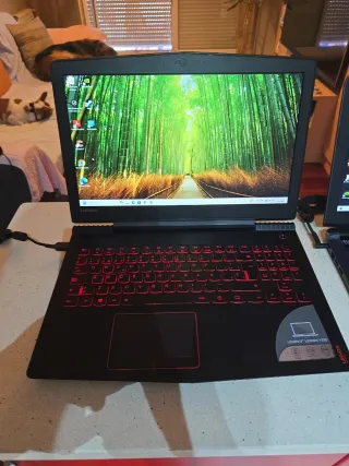 Lenovo Legion Y520 16GB RAM GTX 1050Ti se cambia 
