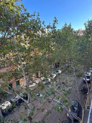 Piso en alquiler en Arxiduc - Bons Aires en Palma de Mallorca