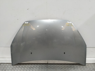 CAPO FORD S-MAX (CA1)