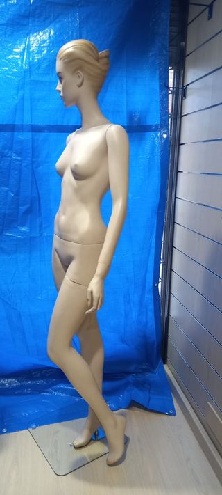 Maniquí Mujer Desmontable
