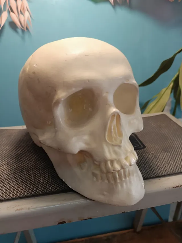 Calaveras Decorativas Cristal y Yeso