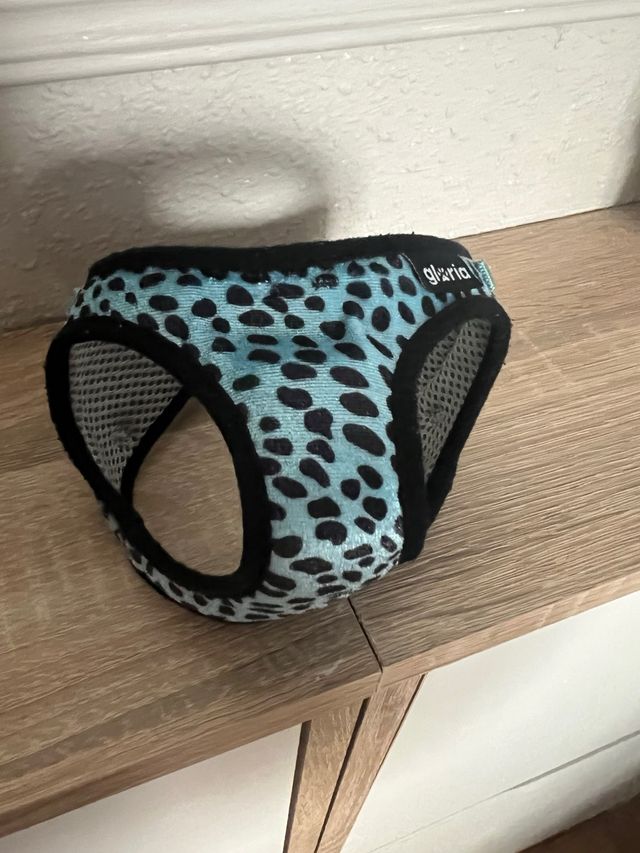 Arnés para perro pequeño Gloria