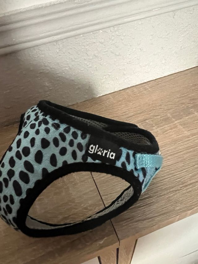 Arnés para perro pequeño Gloria