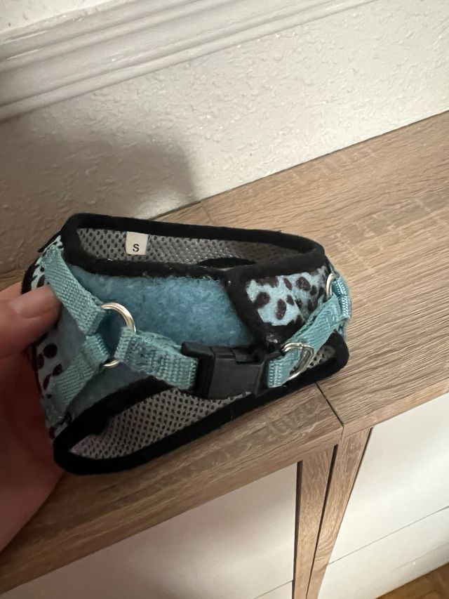 Arnés para perro pequeño Gloria