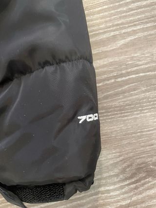Chaqueta The North Face Negra