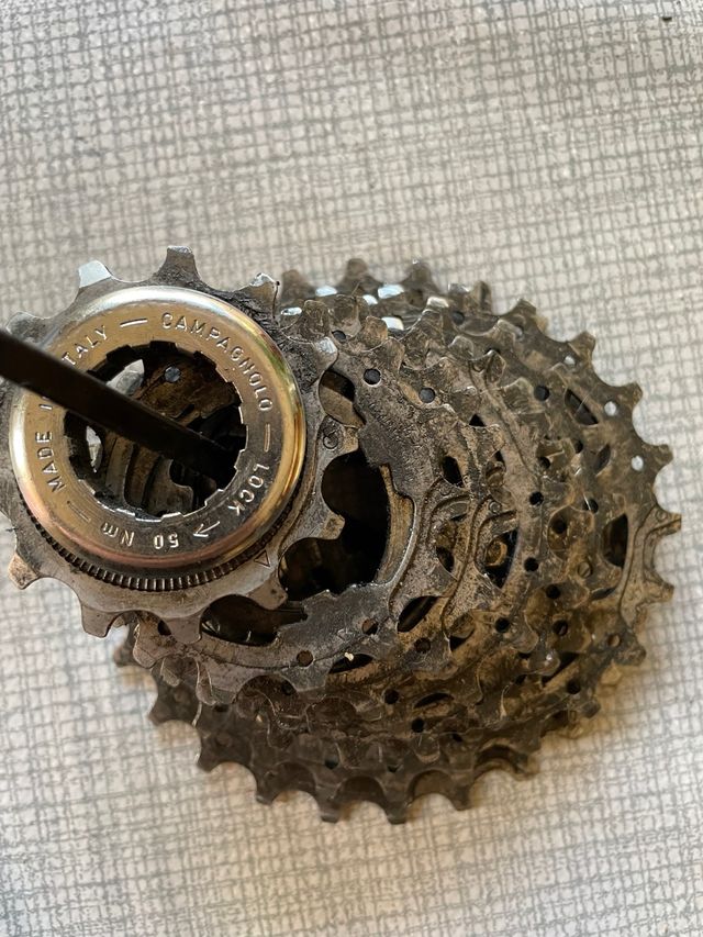 Cassette Campagnolo 14-26