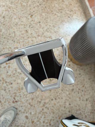 Bolsa y palos de golf