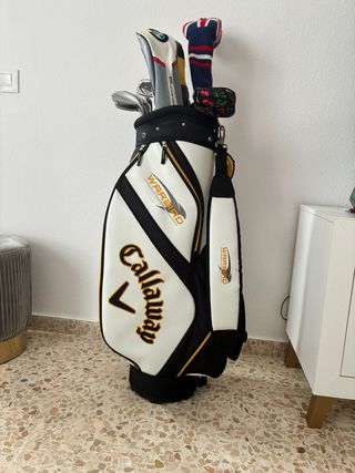 Bolsa y palos de golf