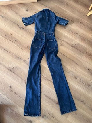 Mono tejano entretiempo