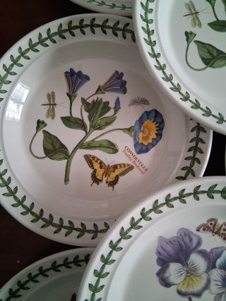 12 Piatti Portmeirion 18cm