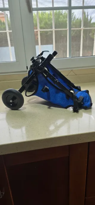 Silla de ruedas para perro talla M
Recen comprada.
