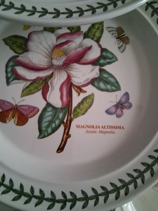 9 Piatti Portmeirion Botanica 27cm
