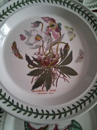 9 Piatti Portmeirion Botanica 27cm