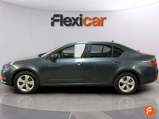 Skoda Octavia 1.6 TDI 85KW (115CV) Style