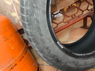 Neumático 195/55 R15 85V