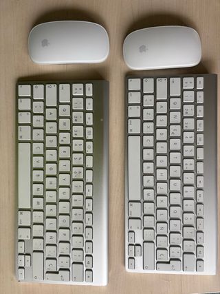 Teclados y Ratones Apple Plata/Blanco