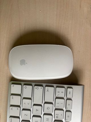 Teclados y Ratones Apple Plata/Blanco