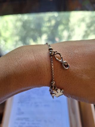 Pulsera Plata Ley Temática Veterinaria