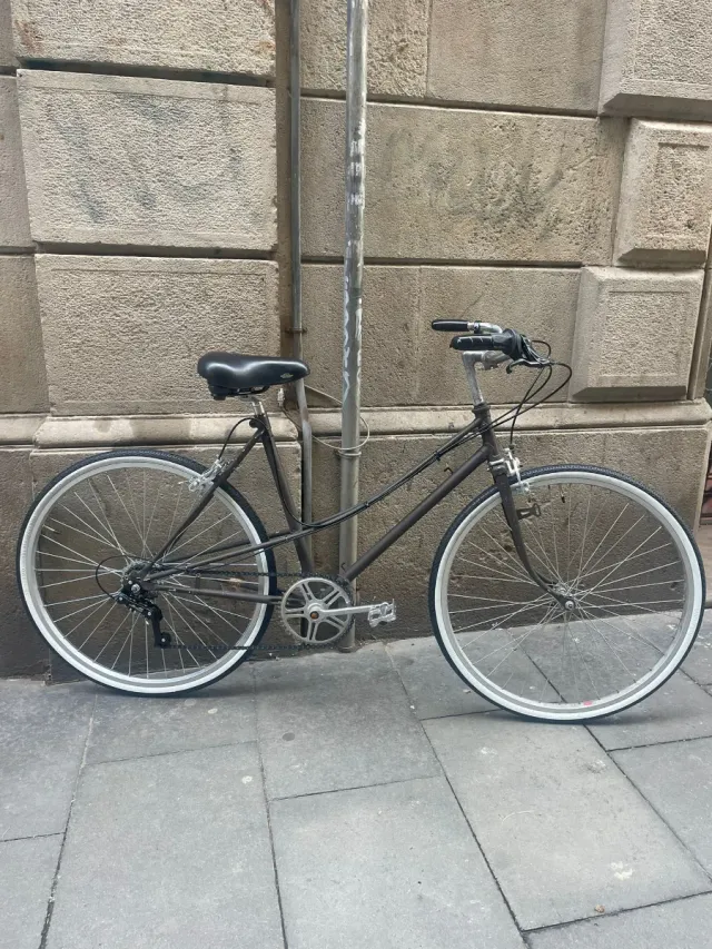 Bicicleta Paseo Vintage 