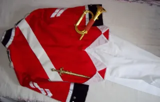 Disfraz "Corneta de dragones"