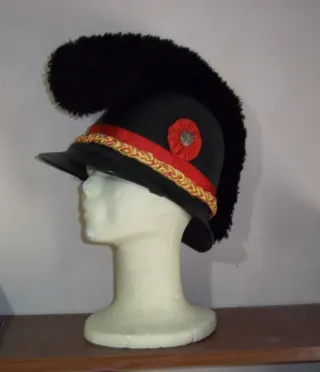 Disfraz "Corneta de dragones"