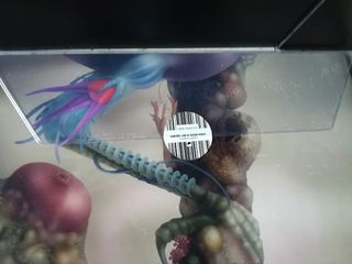 Spidergawd - 6 CDs y 2 Vinilos