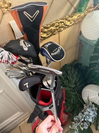Set de Palos de Golf Titleist, Callaway, Odyssey