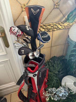 Set de Palos de Golf Titleist, Callaway, Odyssey
